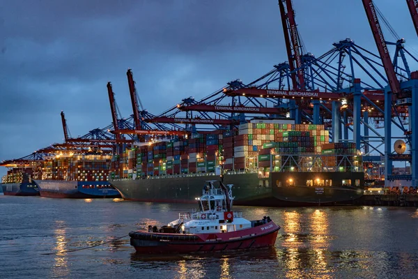 Porto Hamburgo Com Seus Enormes Terminais Contêineres Noite Hamburg Alemanha — Fotografia de Stock