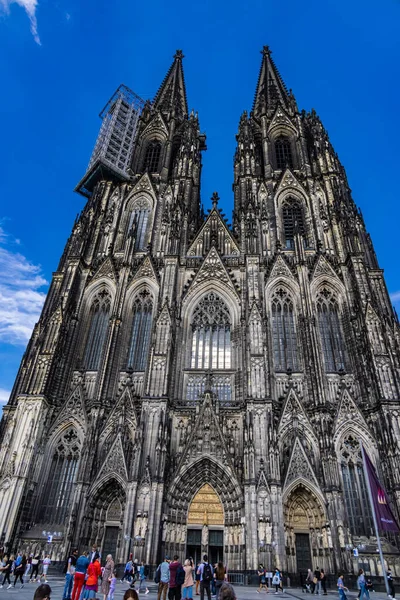 Cathédrale Cologne Célèbre Monument Dans Centre Ville Cologne Allemagne Juin — Photo