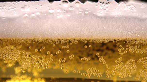 Una Pinta Cerveza Recién Sacada Primer Plano Para Fondo — Vídeos de Stock