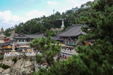 BUSAN, Güney Kore - 9 Ekim 2025 - Haedong Yonggungsa Tapınağı, okyanus manzaralı bir uçurum üzerinde yer alan Budist simgesidir.