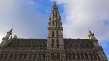 BRÜKSEL, BELGIUM - 26 Kasım 2025 - Brüksel, Belçika 'daki tarihi belediye binasının mimari detayları
