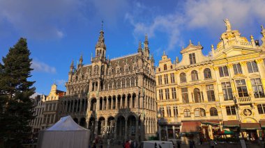 BRÜKSEL, BELGIUM - 26 Kasım 2025 - Gotik belediye binası cephesi ve mavi gökyüzünün altındaki altın loncalar