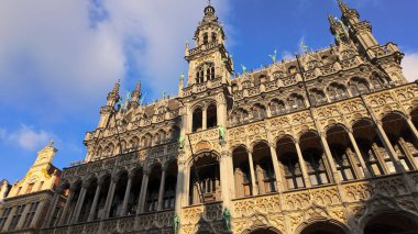 BRÜKSEL, BELGIUM - 26 Kasım 2025 - Güneşli bir günde Brüksel Müzesi 'nin Gotik Mimarisi