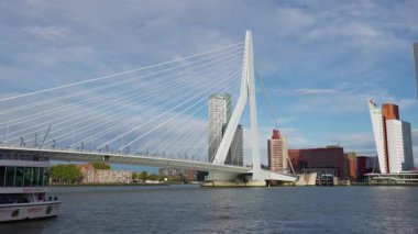 ROTTERDAM, NETHERLANDS - 13 Eylül 2025 - Nieuwe Maas nehri boyunca uzanan Iconic Erasmus Köprüsü Rotterdam ufuk çizgisi