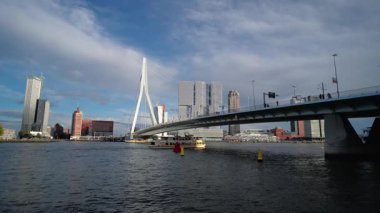 ROTTERDAM, NETHERLANDS - 13 Eylül 2025 - Erasmus Köprüsü, arka planda modern gökdelenlerle Rotterdam nehri boyunca uzanır.