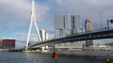 ROTTERDAM, NETHERLANDS - 13 Eylül 2025 - Rotterdam, Hollanda 'daki liman boyunca modern gökdelenleri olan Erasmus Köprüsü