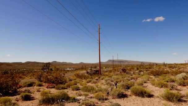 The Arizona desert in South West USA . — Stock Video
