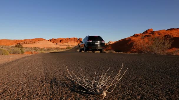 Natursköna vägen genom Valley of Fire National Park . — Stockvideo