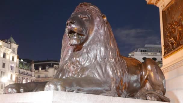 O famoso leão em Trafalgar Square Londres à noite lapso de tempo tiro — Vídeo de Stock