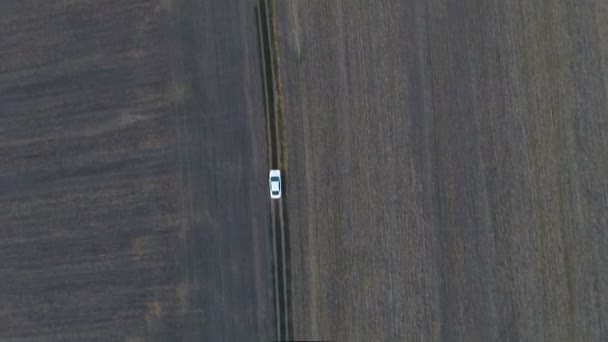 Carro branco acelerando no campo, aero — Vídeo de Stock