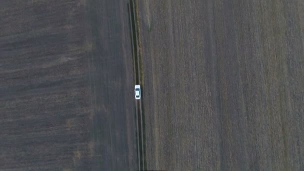 Witte auto versnellen in het veld, aero — Stockvideo