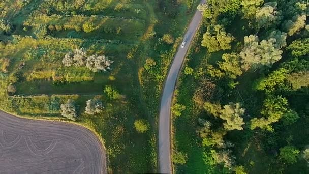 Carro branco acelerando no campo, aero — Vídeo de Stock