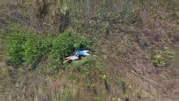 Couple dans un champ étendu dans l'herbe, aérien — Video