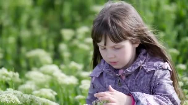 Little girl looks at beetle — Stock Video