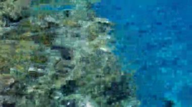 Deniz resifleri kıyıya