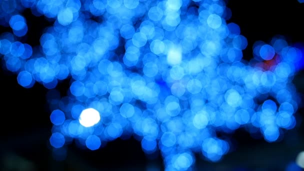 lanternes d'arbres la nuit 