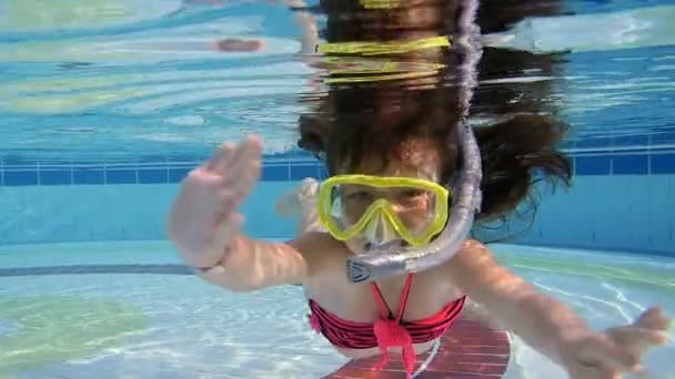 Маленькая девочка плавает под водой в бассейне — стоковое видео