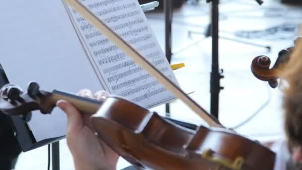 Playing the violin in the orchestra — Stock Video