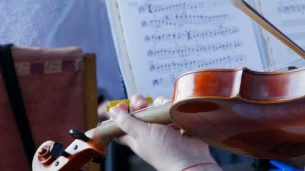 Suonare il violino nell'orchestra — Video Stock