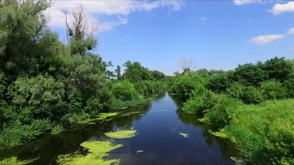 Аерофотозйомка маленька дика річка, аерофотозйомка — стокове відео