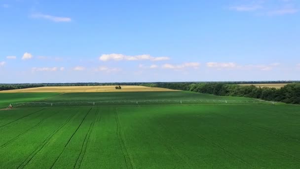 Fälten bevattningssystem i sommar — Stockvideo