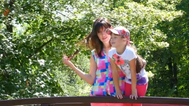 公園の橋の上話母と娘 — ストック動画