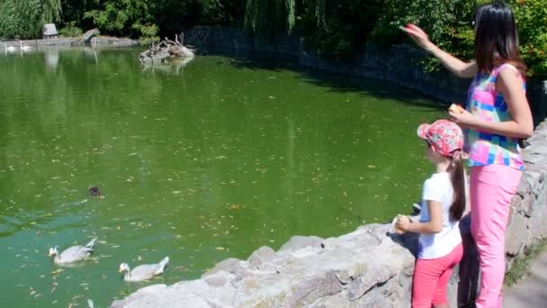 Mãe e filha alimentam pássaros no zoológico — Vídeo de Stock