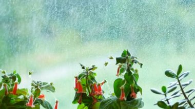 penceresinin dışında - raindrops yaz gün pencere camı üzerinde yağmur