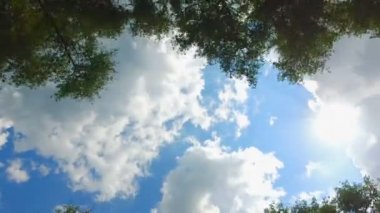 gökyüzü ve güneş ağaçların - arasından araba yolda gidiyor