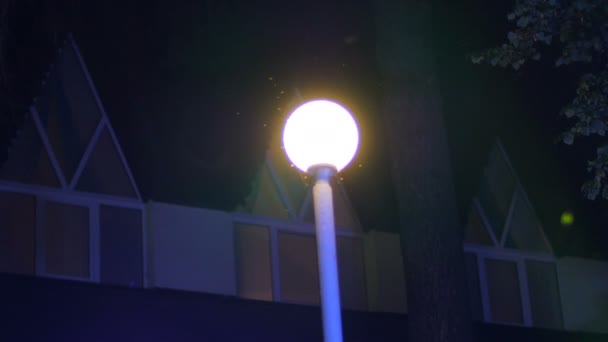 Linterna en la noche - luz intermitente manchas rayos lumiere y parpadea en la calle — Vídeo de stock