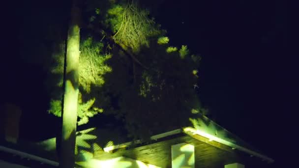 Luzes piscando raios luminosos lumiere e piscando nas árvores concerto à noite e fumaça comemorativa — Vídeo de Stock