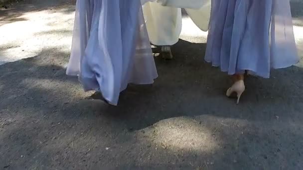 Newlyweds walking in the park with your friends — Stock Video