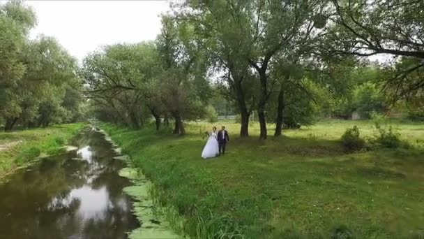 Recién casados caminan cerca del río - aero — Vídeo de stock