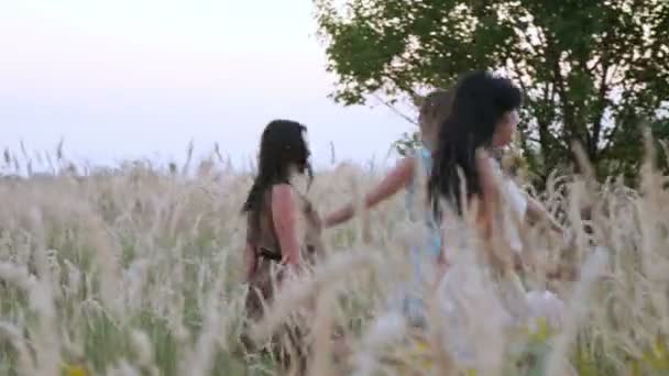 Hermosa chica bailando en un campo - picos en el atardecer — Vídeos de Stock