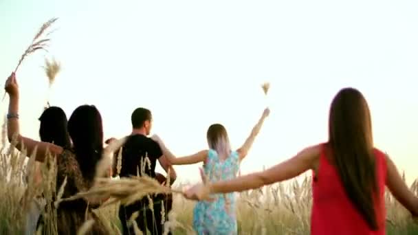 Beautiful girls and boys walking in the field - spikes in the sunset — Stock Video