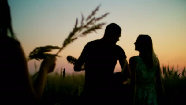 Hermosas niñas y niños caminando en el campo - picos en la puesta de sol — Vídeo de stock