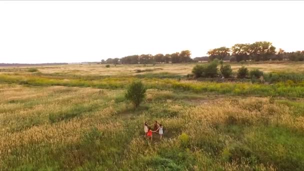 Mooie dansende meisje in het veld - de avond dansen in een cirkel - aero — Stockvideo