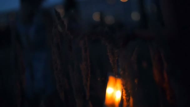 Beautiful girls walking in the field - in the hands holding candle lanterns — Stock Video