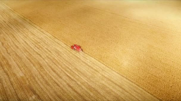 Aero: en el campo cosechadora cosecha mijo - a ri l foto — Vídeo de stock