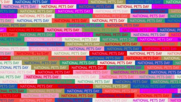Día Nacional de las Mascotas. fondo. patrón sin costuras. bucle de animación de mosaico. banner o telón de fondo con iconos de texto parpadeantes multicolores. — Vídeo de stock
