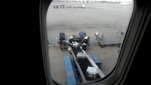 BORISPOL, UKRAINE, OUTUBRO 30, 2020: funcionários do aeroporto descarregar sacos, malas, bagagem de passageiros do compartimento de bagagem de avião. Vista do iluminador, janela do avião. chegada do — Vídeo de Stock