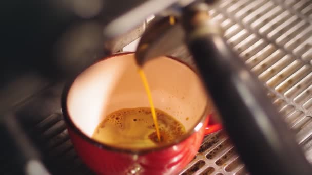 Professionell kaffebryggning. Närbild. Gör en kopp starkt kaffe i kaffemaskinen. espresso häller från professionell kaffebryggare med bottenlöst filter i en kopp. — Stockvideo
