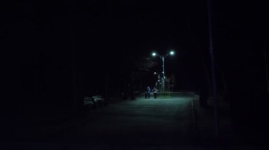 Parkta gece yürüyüşü. Geceleyin boş bir şehir parkındaki yol ya da cadde. Bir fenerin ışığı. İnsanlar yürüyor. Arkadan bak. Sisli, serin kış gecesi.