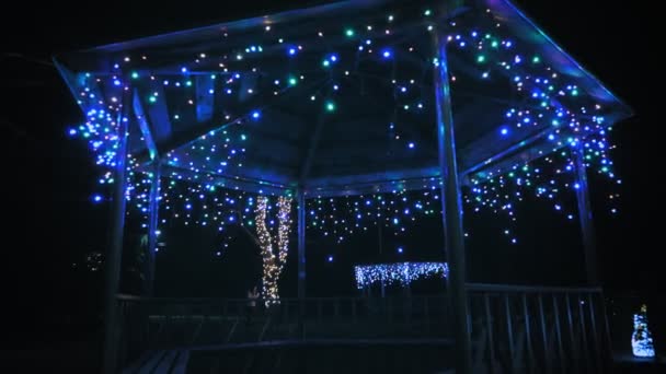 Guirlande de lumière LED décorative. belle guirlande extérieure multicolore décore gazebo en bois dans le parc, la nuit. Décoration de Noël festive. fond bokeh — Video