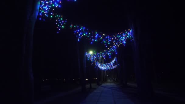 Vánoční věnec. krásný, zářící, pestrobarevné venkovní girland zdobí park nebo ulici, v noci. Slavnostní vánoční ozdoba. — Stock video