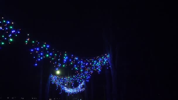 Luces de guirnalda de Navidad. guirnalda al aire libre hermosa, brillante, multicolor decora parque o calle, por la noche. Festivo, decoración de Navidad. — Vídeos de Stock