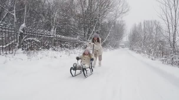 Family sledding in winter. outdoor winter activity. Happy, laughing, playful children are enjoying of sledging on snowy road, in forest, during snowfall. kids are having fun on snowy winter day. slow — Stock Video