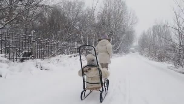 Sanki rodzinne w zimie. zimowa aktywność na świeżym powietrzu. Szczęśliwe, śmiejące się, wesołe dzieci lubią jeździć na sankach po śnieżnej drodze, w lesie, podczas opadów śniegu. Dzieci dobrze się bawią w śnieżny zimowy dzień. powoli — Wideo stockowe