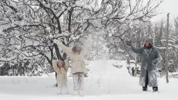 Divertimento invernale in famiglia. La famiglia felice si gode la neve e la neve, si diverte all'aria aperta, trascorrendo del tempo insieme in una giornata invernale innevata nel parco o nella foresta. rallentatore — Video Stock