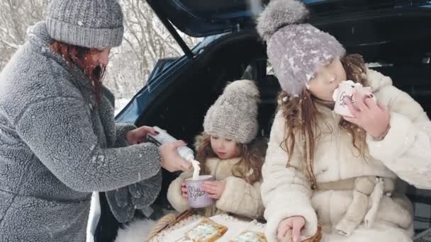 Zimowy piknik herbaty. Szczęśliwa rodzina ma smaczną przekąskę, herbatkę ze śmietanką, na świeżym powietrzu. Siedzą na bagażniku samochodu, w śnieżnym lesie, podczas opadów śniegu. Zimowa rodzinna zabawa. szczęśliwy czas na śnieżnej zimie — Wideo stockowe